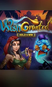 Wish Granted